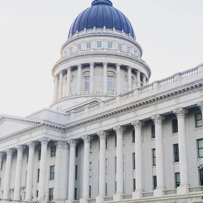 Government Organization
